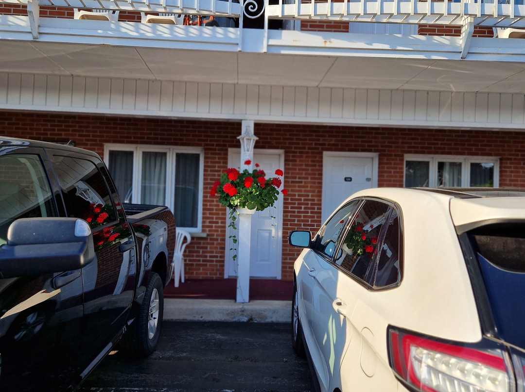 Lockport Inn and Suites主图