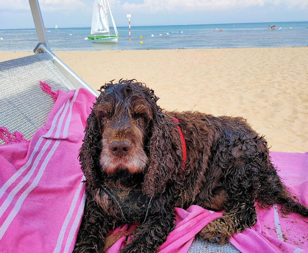 La spiaggia di Duke-利尼亚诺萨比亚多罗必去景点