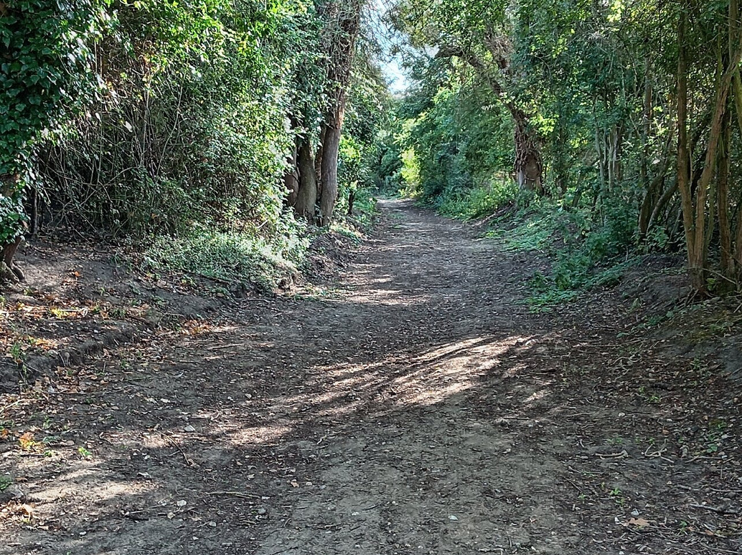 Blythburgh Station Site-Blythburgh必去景点