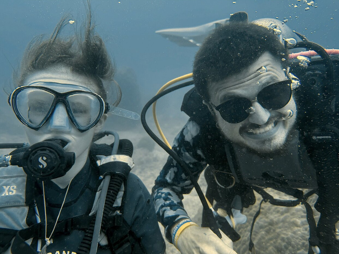 Mojo Divers-涛岛必去景点