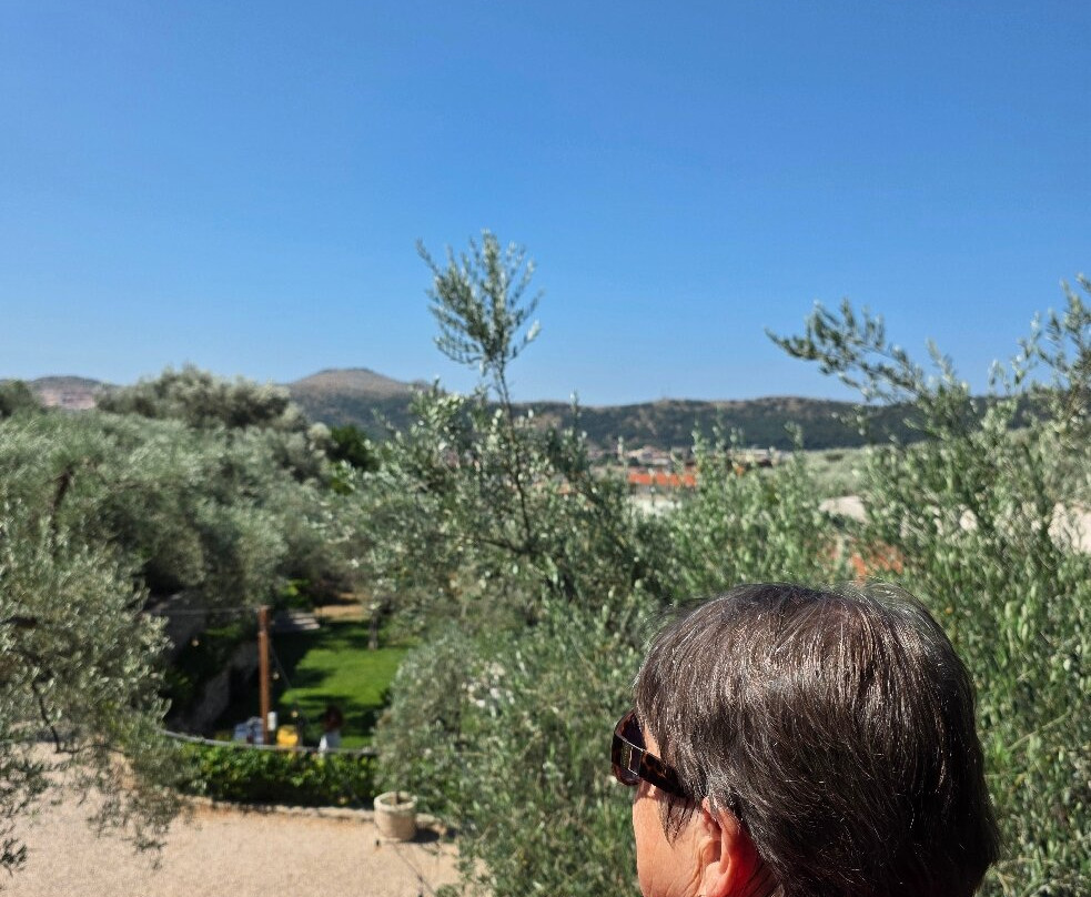 OLIVE QUEEN DOO-Stari Bar必去景点