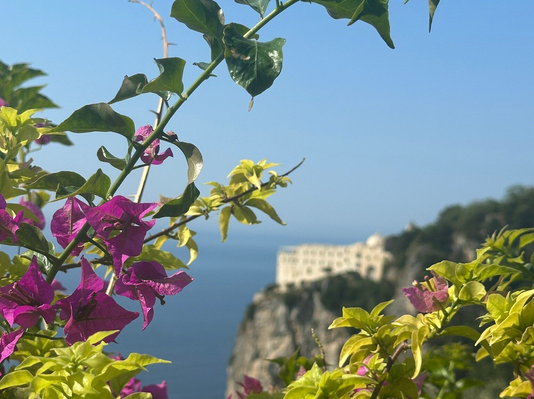 World Center Resort主图