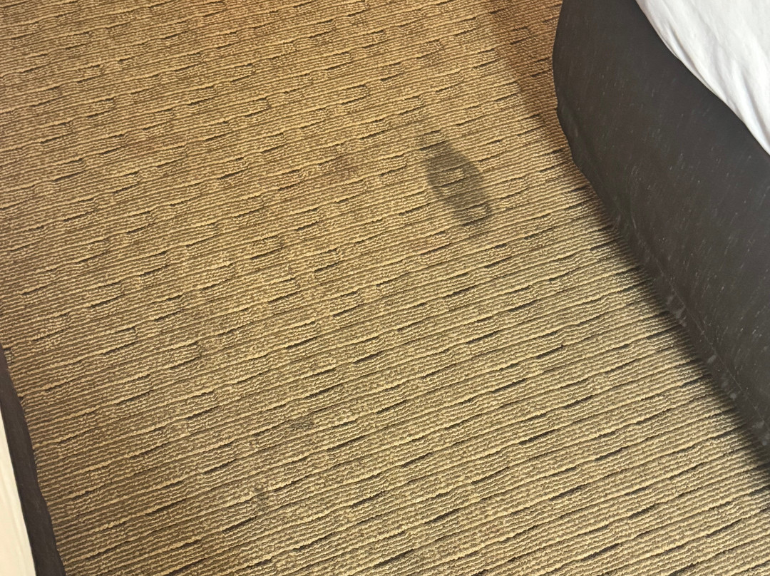 Comfort Suites Stafford Near Sugarland主图