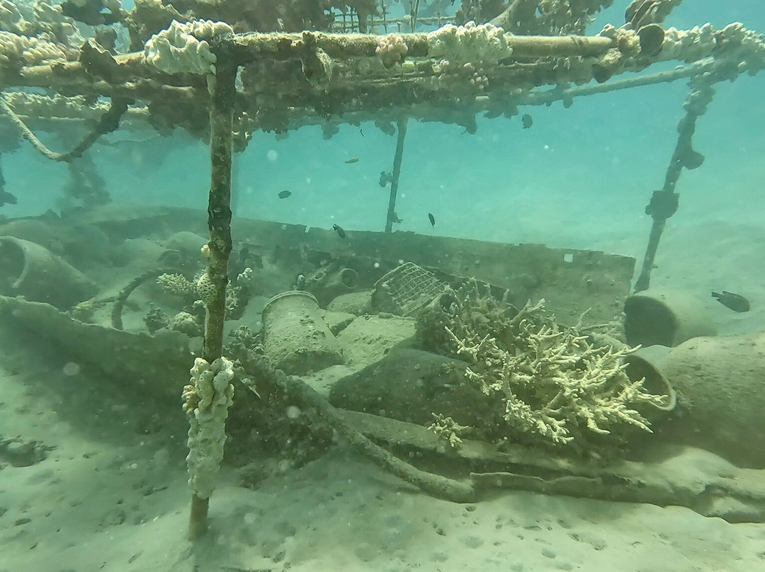 Extra Divers Makadi Bay-马卡迪湾必去景点