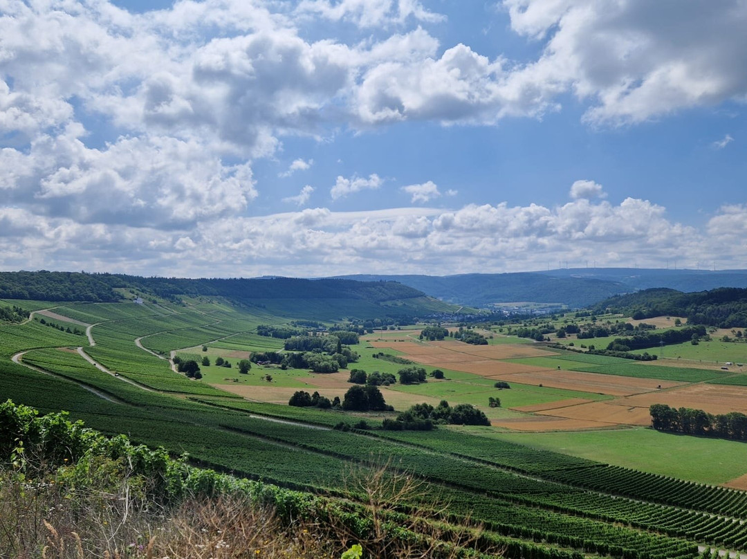 Weingut Gästehaus Jakoby