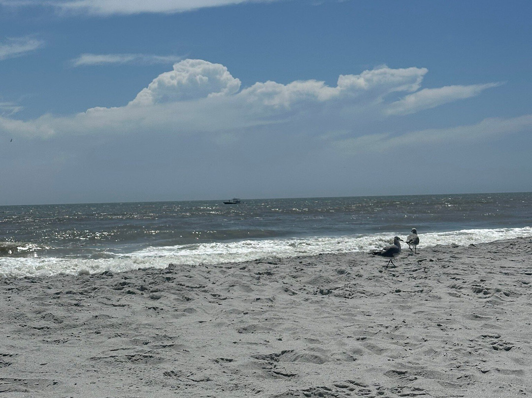 Anastasia State Park-圣奥古斯丁必去景点