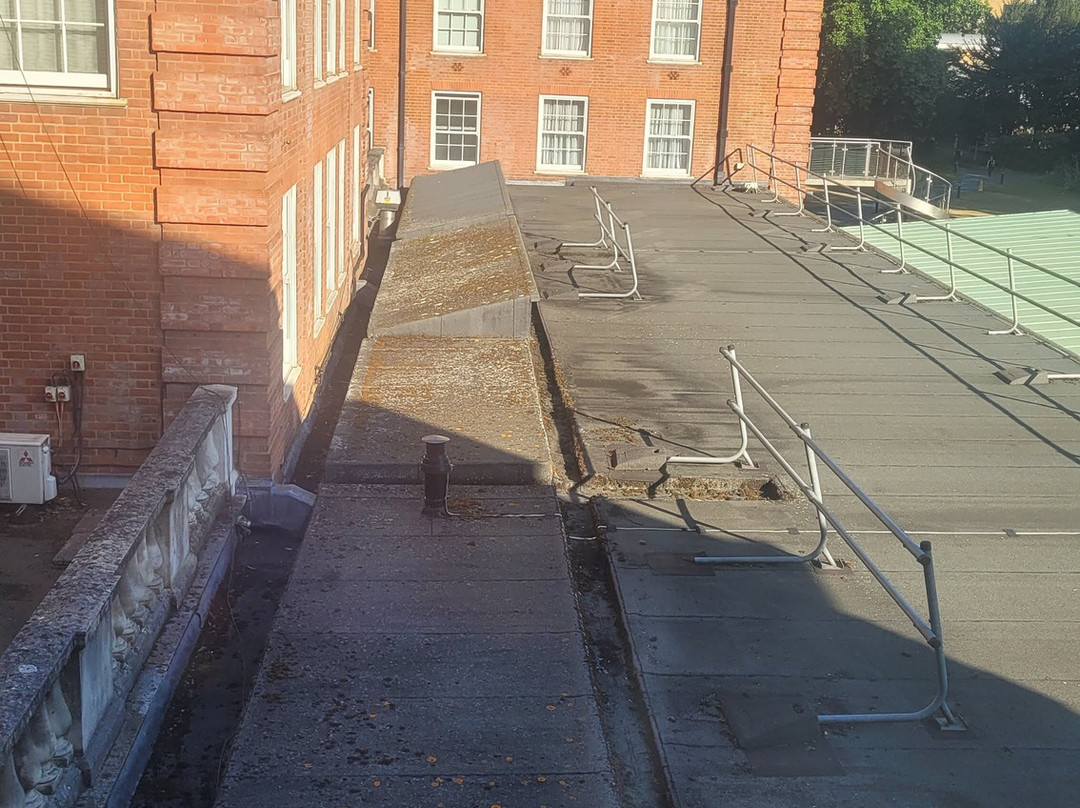 The Lensbury Resort主图