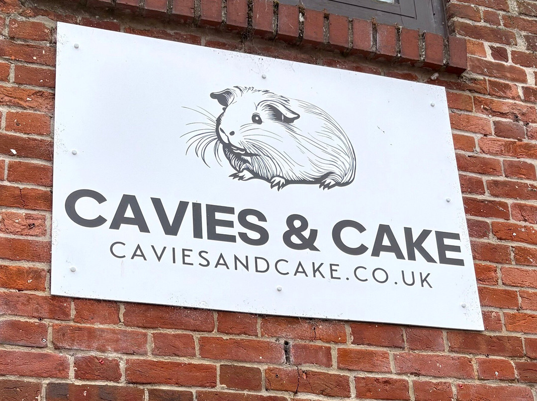Cavies & Cake-Fakenham必去景点