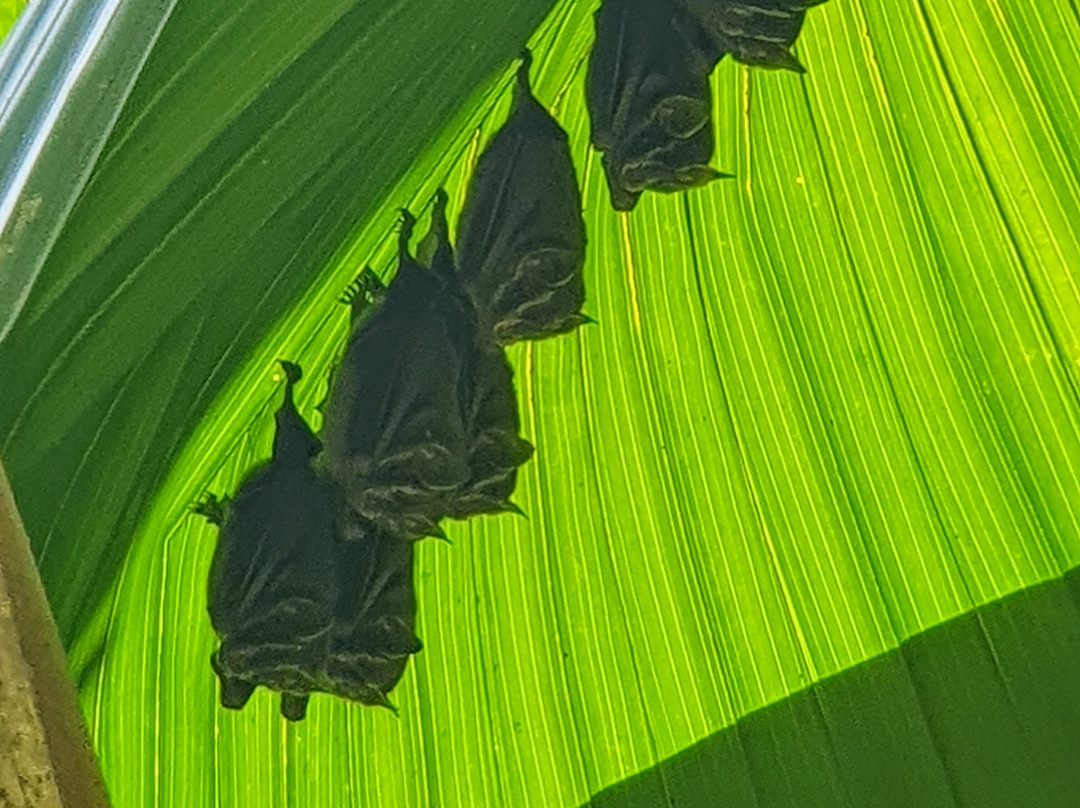 Vic-Tours-卡拉拉必去景点