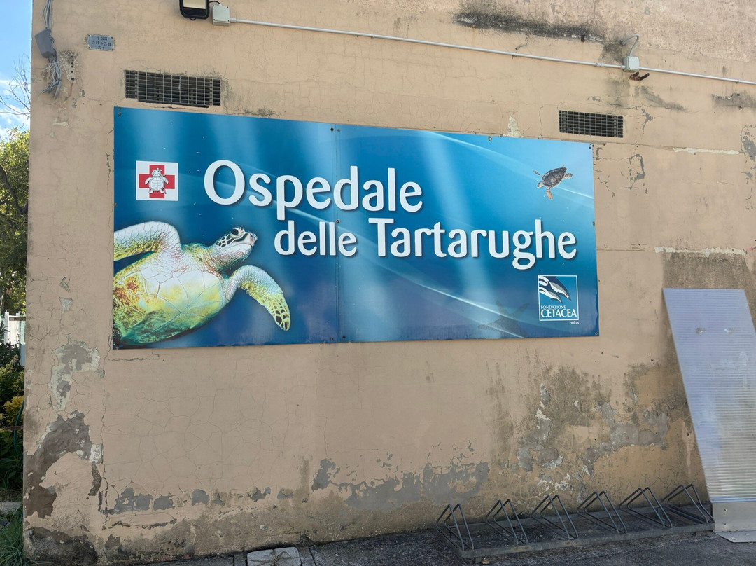 Ospedale delle Tartarughe-里乔内必去景点
