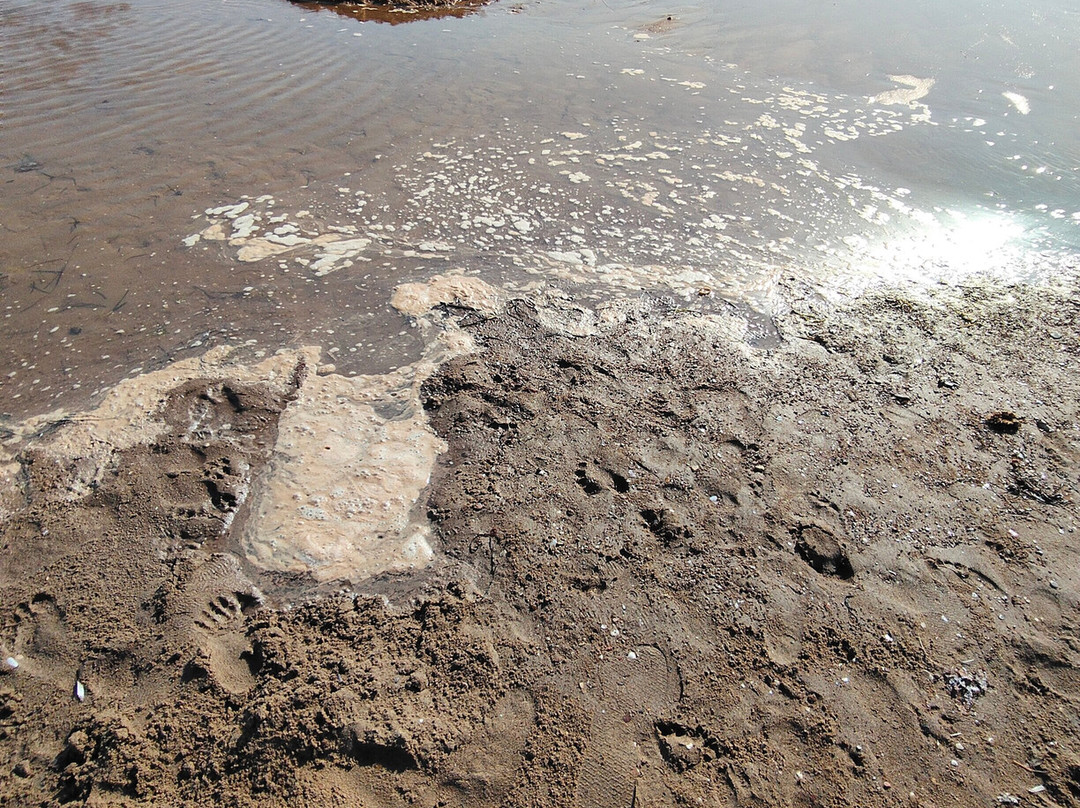 Kakovatos Beach-Kakovatos必去景点