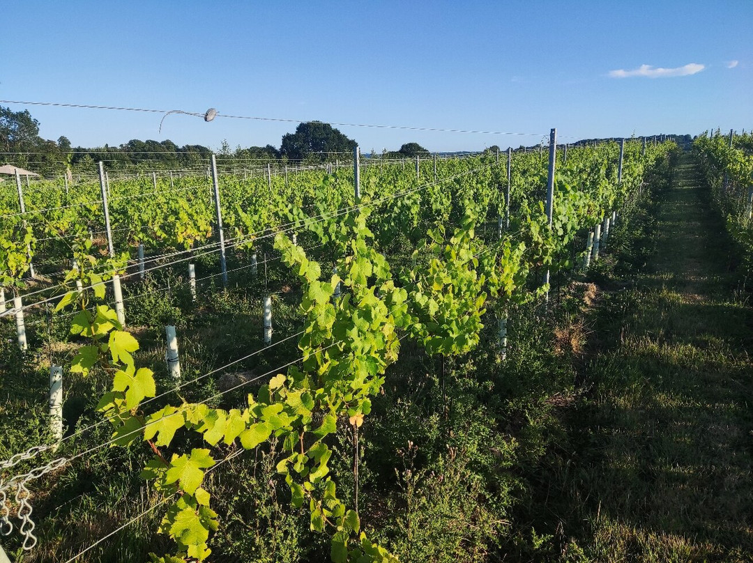 Wayfarer Wines-Woodchurch必去景点