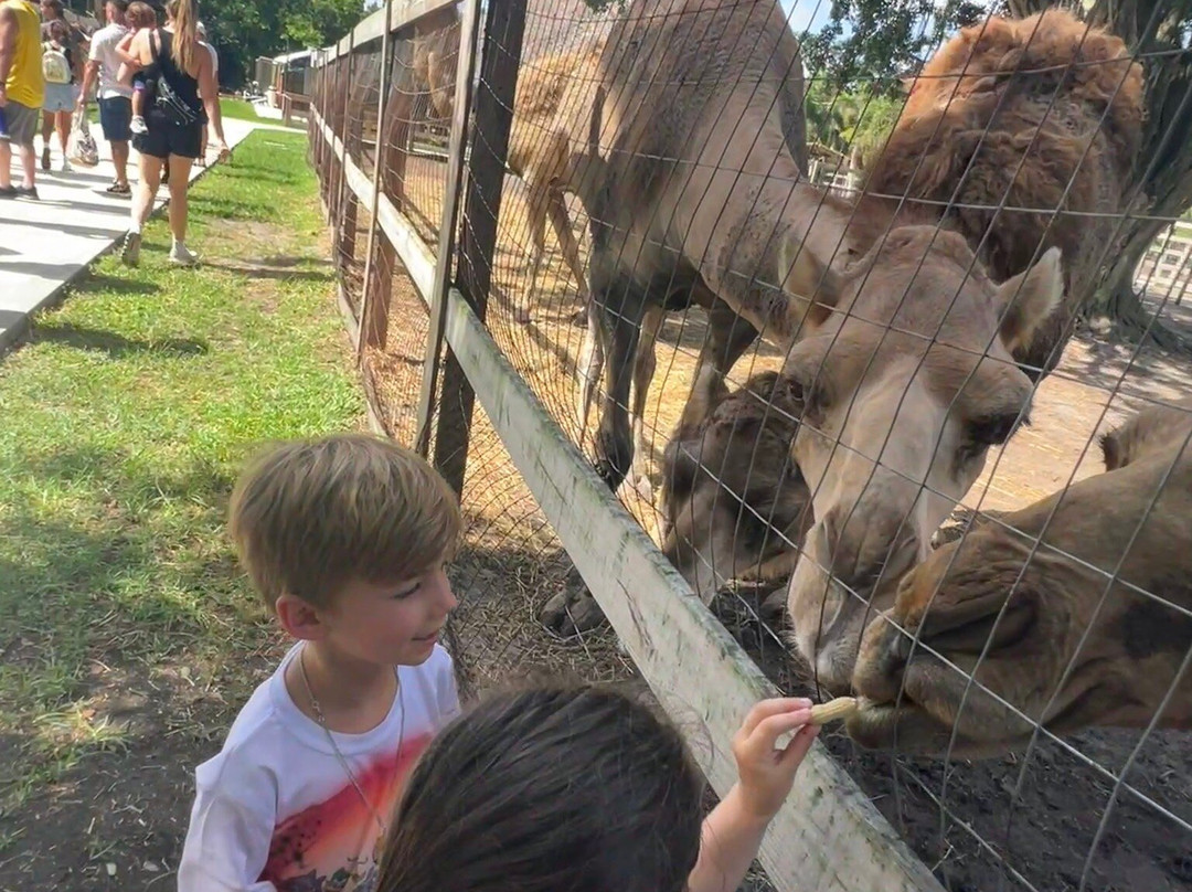 Animal EDventure Park & Safari-博因顿海滩必去景点