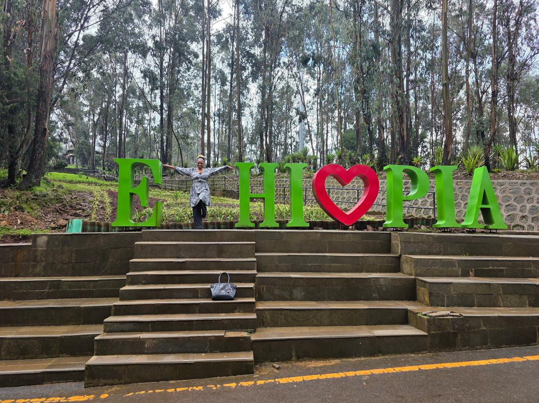 Entoto Natural Park-亚的斯亚贝巴必去景点
