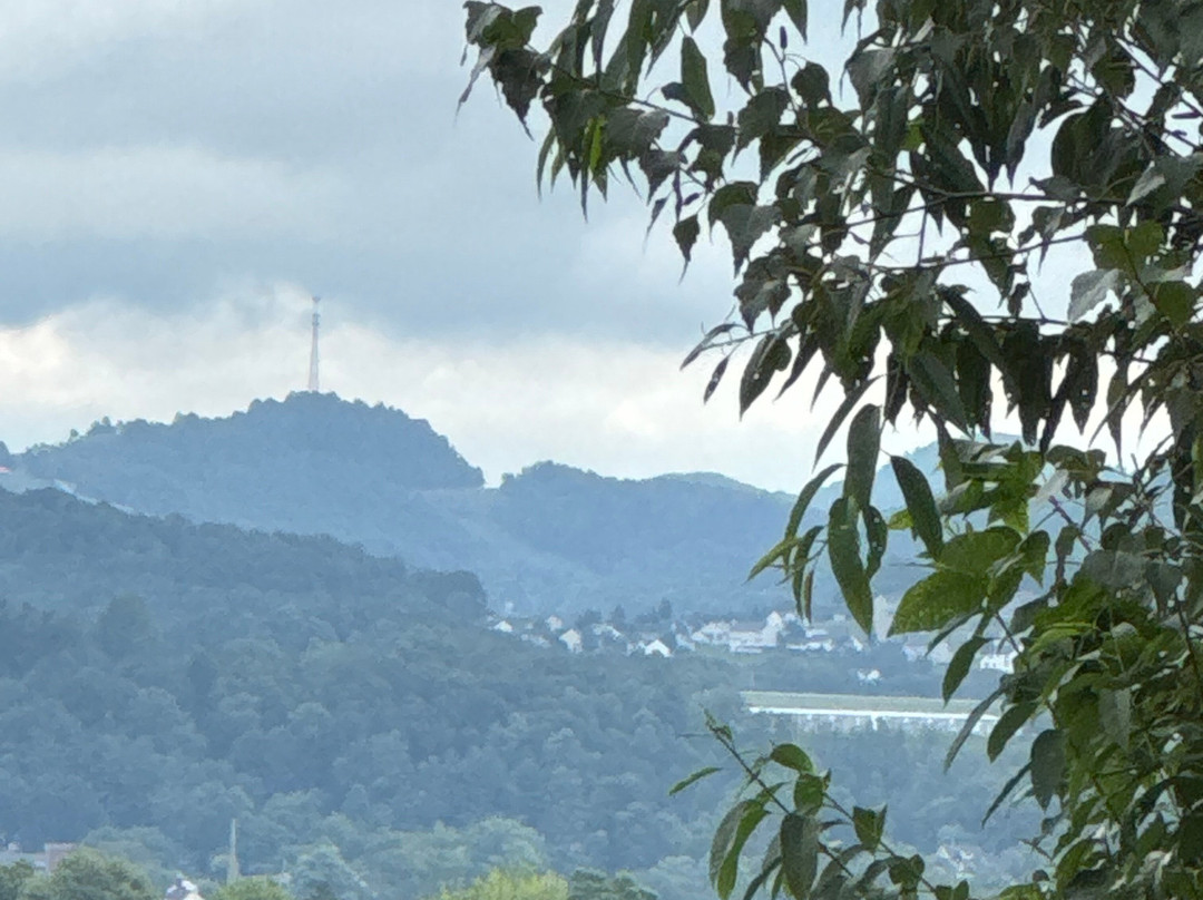 SpringHill Suites by Marriott Bridgeport Clarksburg主图