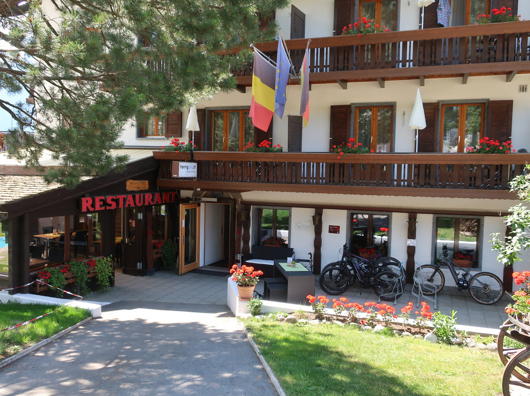 Aktiv Hotel & Spa Hannigalp主图