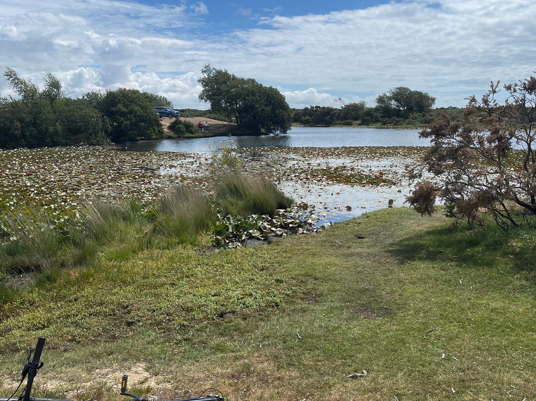 Cyclexperience (new Forest)-Brockenhurst必去景点