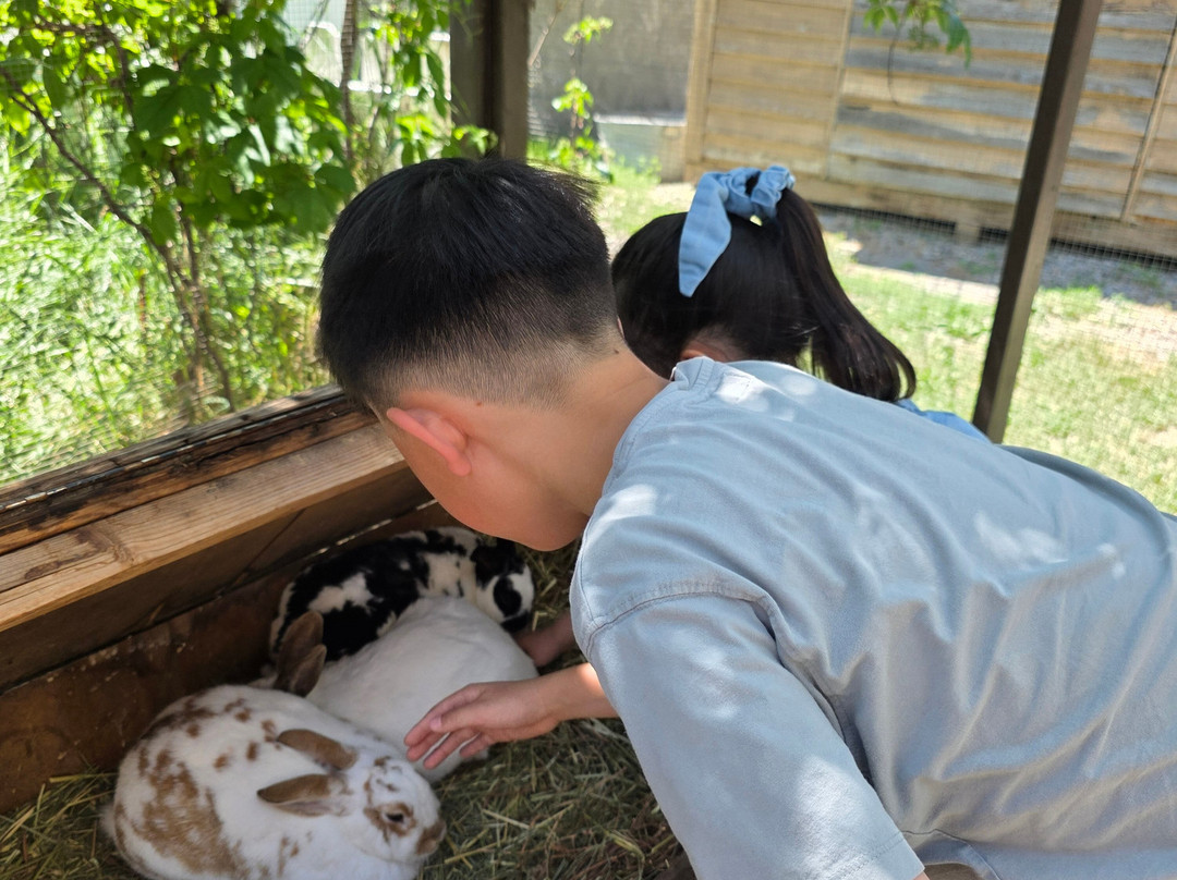 Don-O-Ray Farm Adventure-基洛纳必去景点