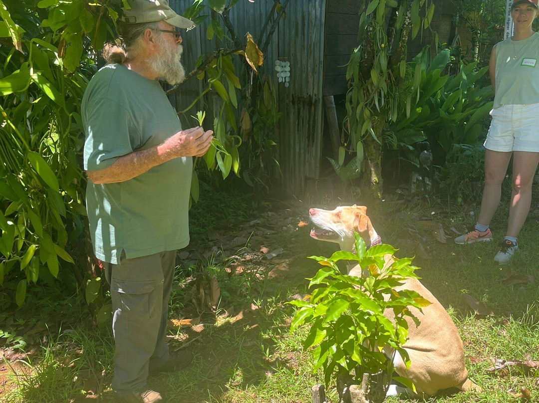 Hilo Shark Tours-帕派科欧必去景点
