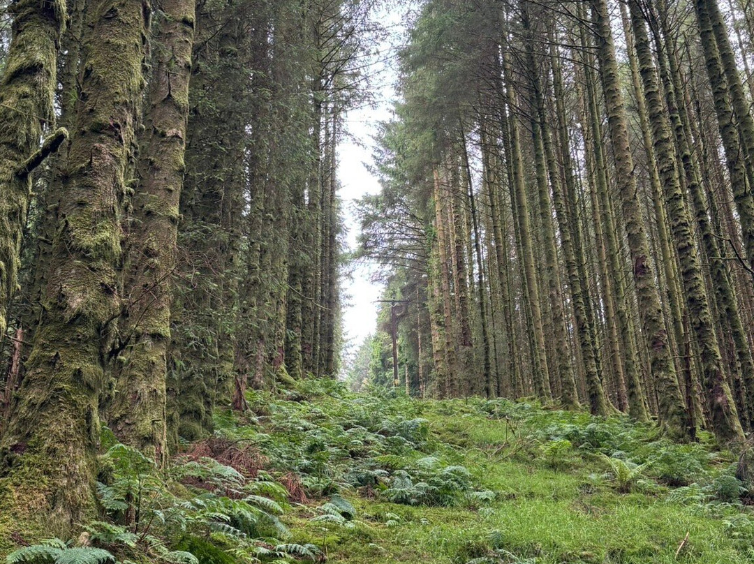 Adventure Activities Wales-卡那封必去景点