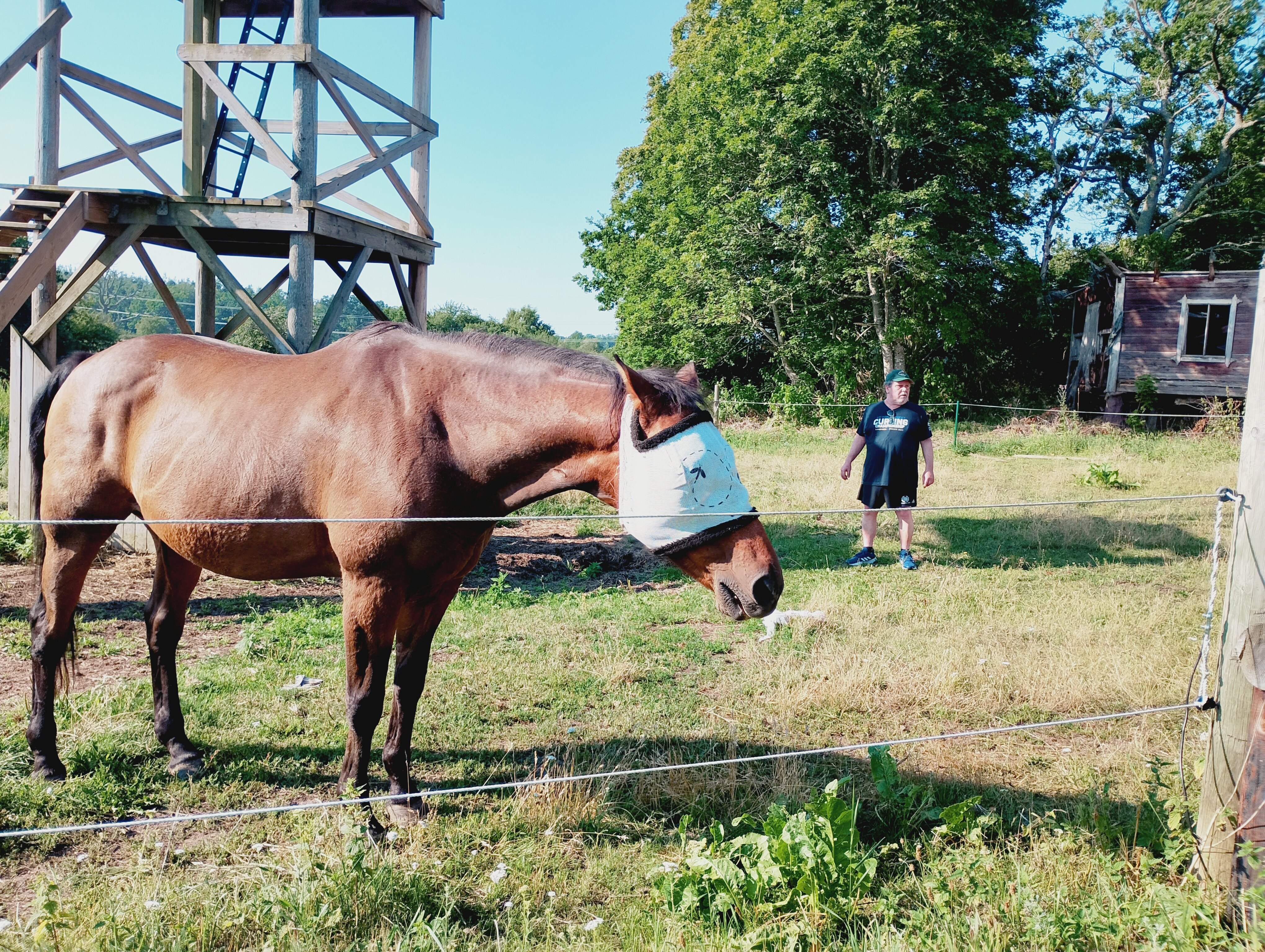 Nygards Herrgard-浴室