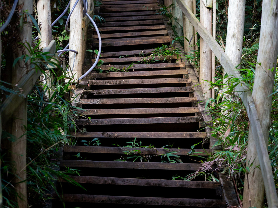 Veu de Noiva Waterfall-Urubici必去景点