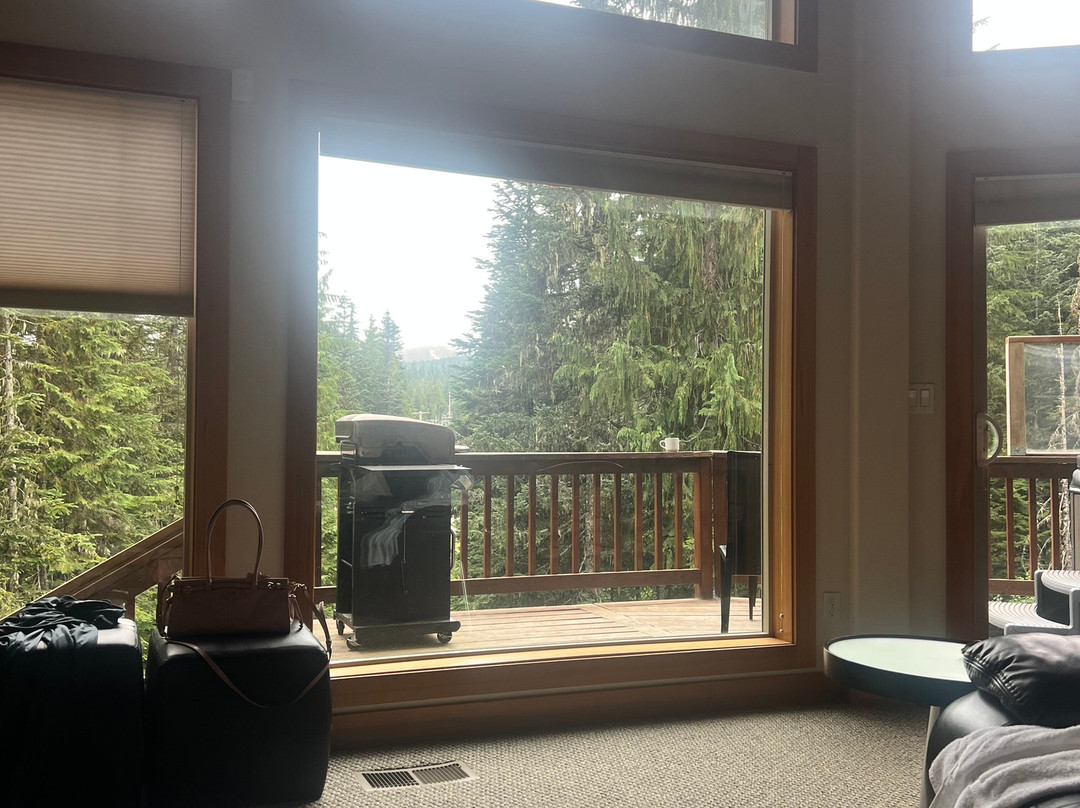 Collins Lake Resort主图