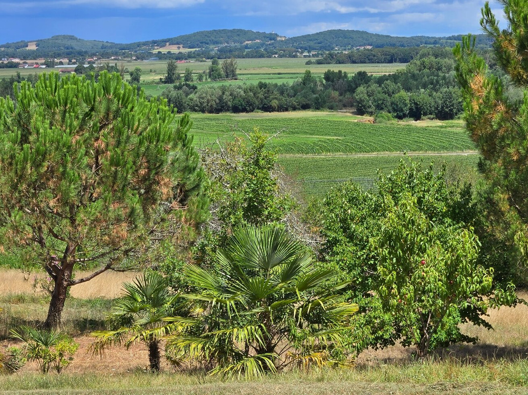 Plaimont-Saint-Mont必去景点
