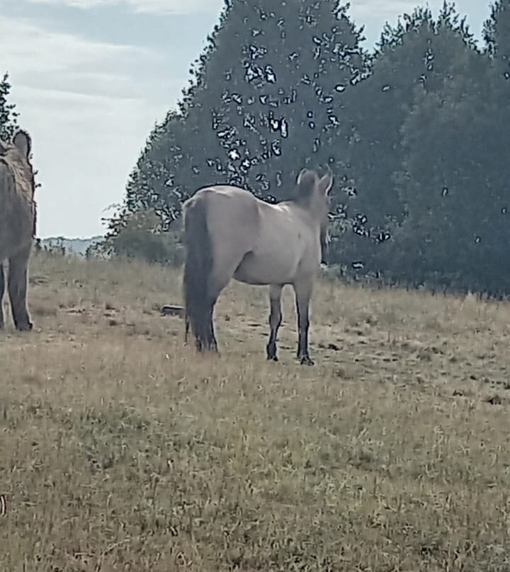 Le Parc Du Thot-Thonac必去景点