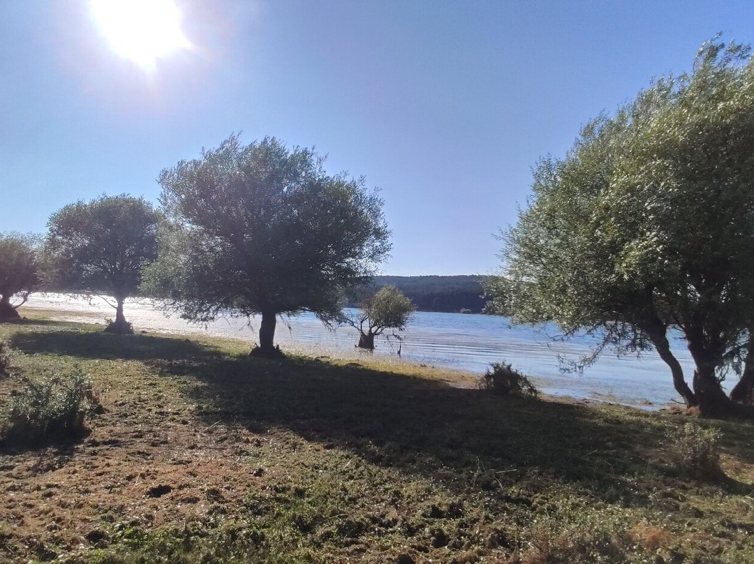Lago Cecita-Spezzano della Sila必去景点