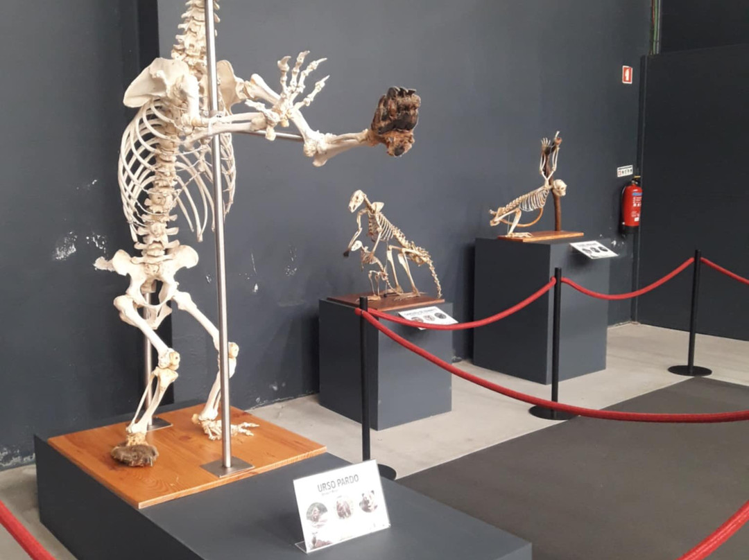 Zoo da Maia-Maia必去景点