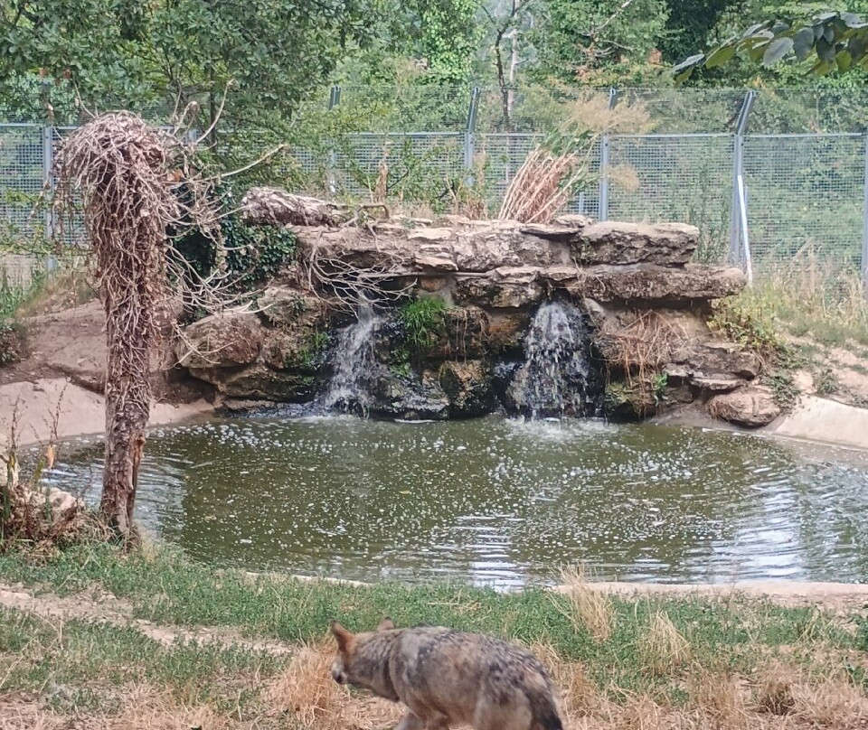 Le Parc Du Thot-Thonac必去景点