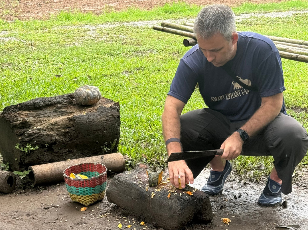 Smart Elephants Family-清迈必去景点