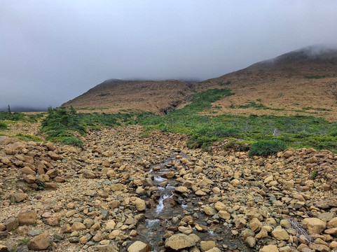 Wildland Tours-圣约翰必去景点