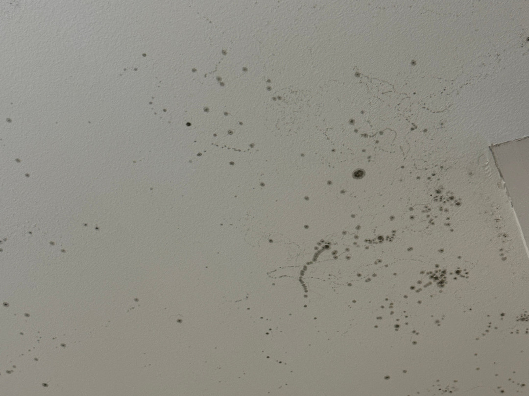 La Quinta Inn & Suites by Wyndham Springfield IL主图