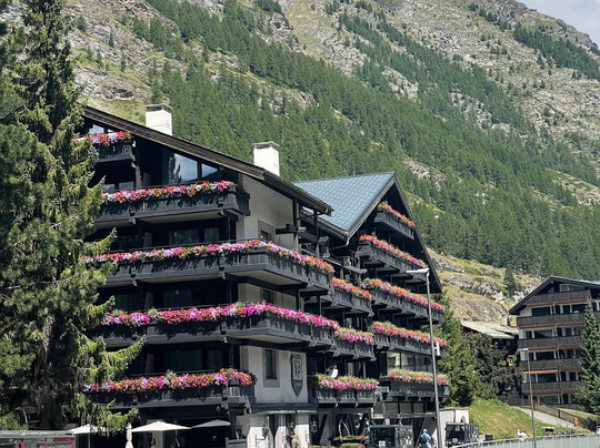 阿尔班霍夫酒店主图