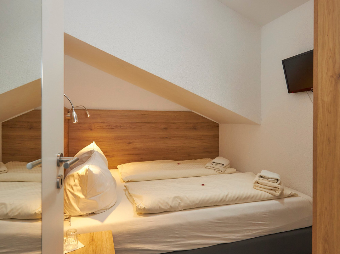 Landgasthof Hotel Roger主图