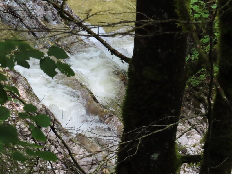 Ente Parco Nazionale Delle Dolomiti Bellunesi-Feltre必去景点