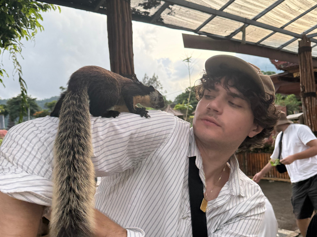 Pemuteran Taxi Bali Tour-佩母德兰必去景点