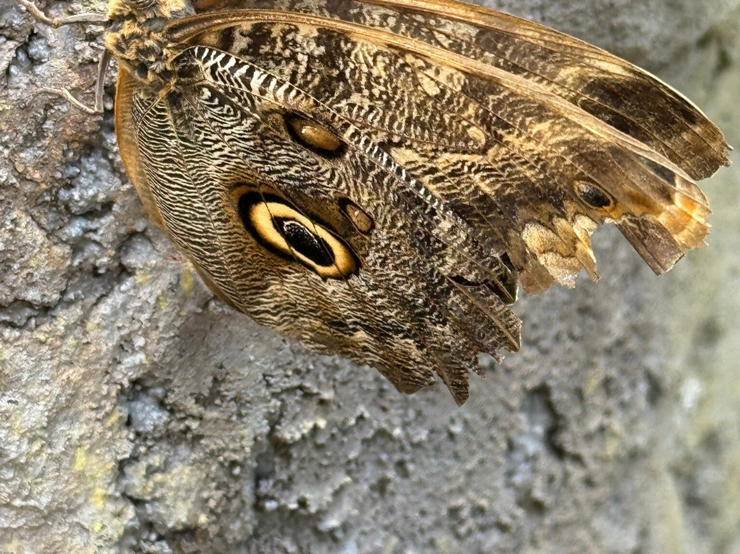 Jardin Botanique du Beau Pays-Marck必去景点