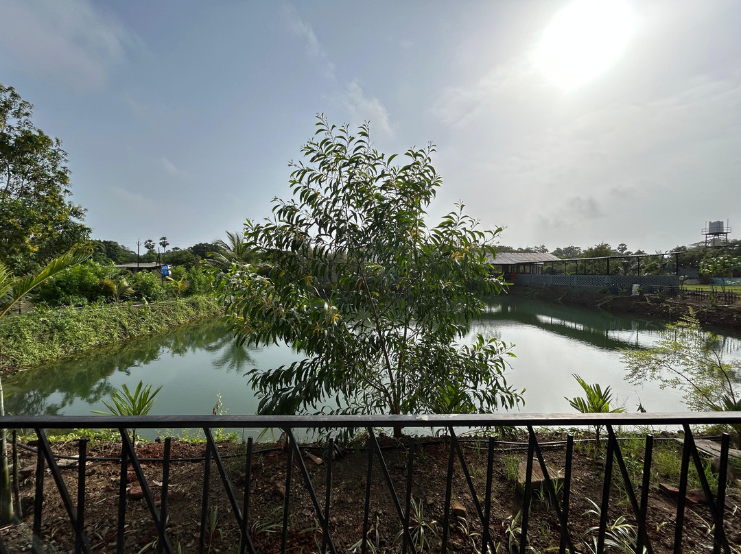 River Stone Resort