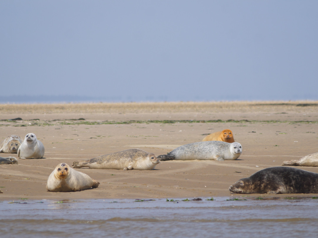 Martha Af Sønderho-Nordby必去景点