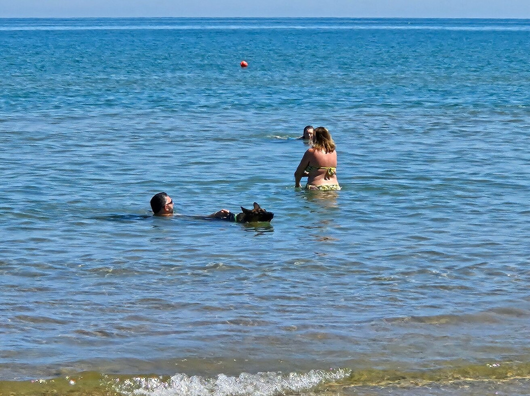 Spiaggia di Scialmarino-维耶斯泰必去景点