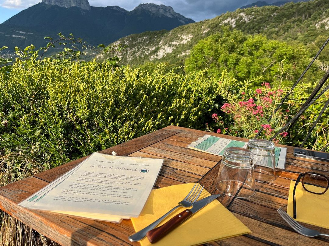 La Terre De Bellevarde