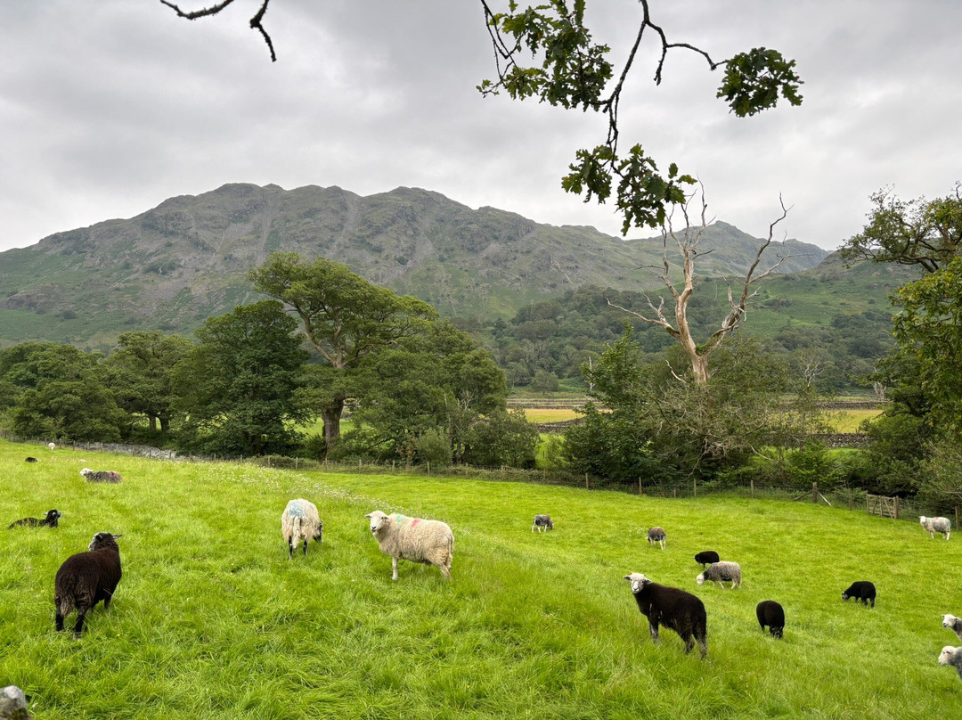 Seatoller Farm B&B主图