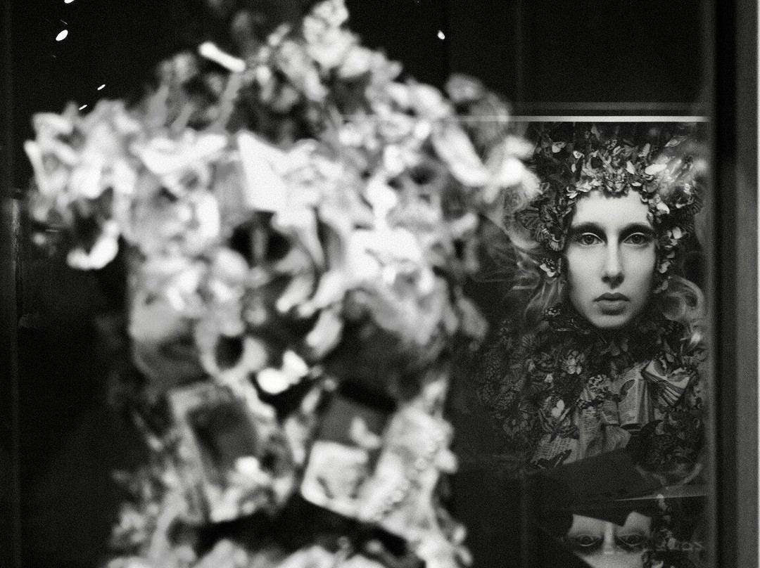 Falsterbo Photo Art Museum-Falsterbo必去景点