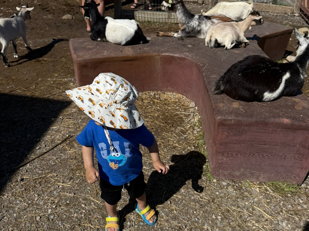 Granary Road-Foothills County必去景点