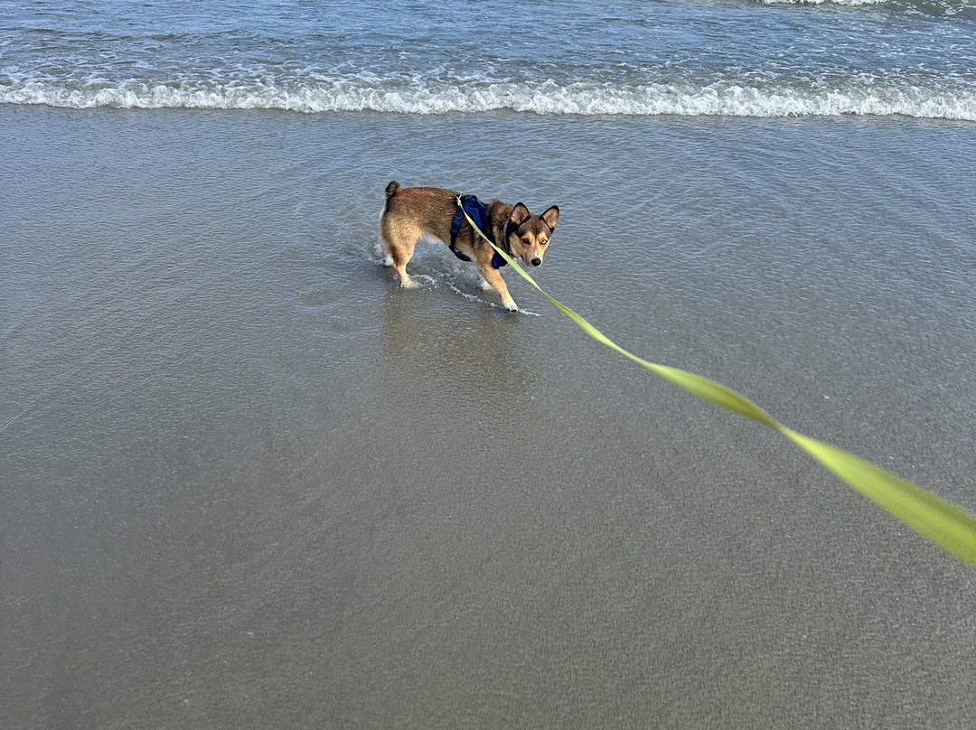 The Sand Box Motel主图