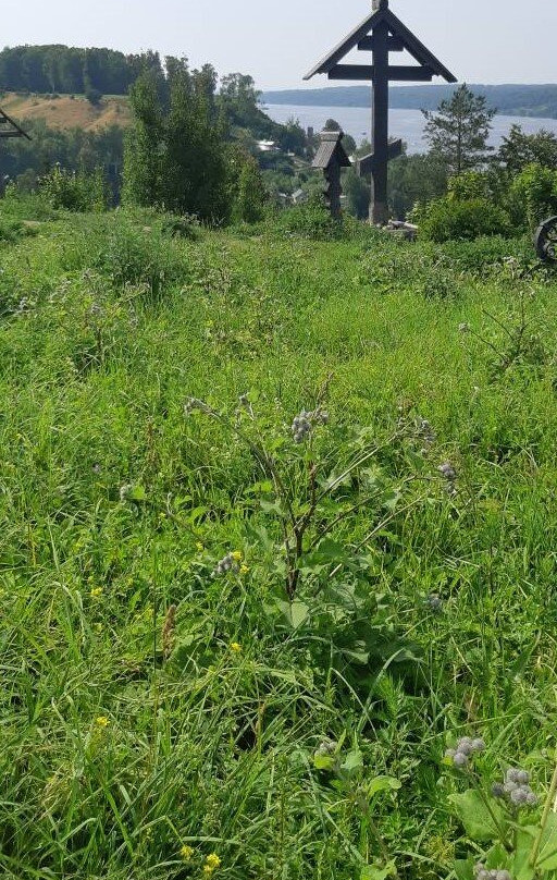 Worship Cross on Mount Levitan