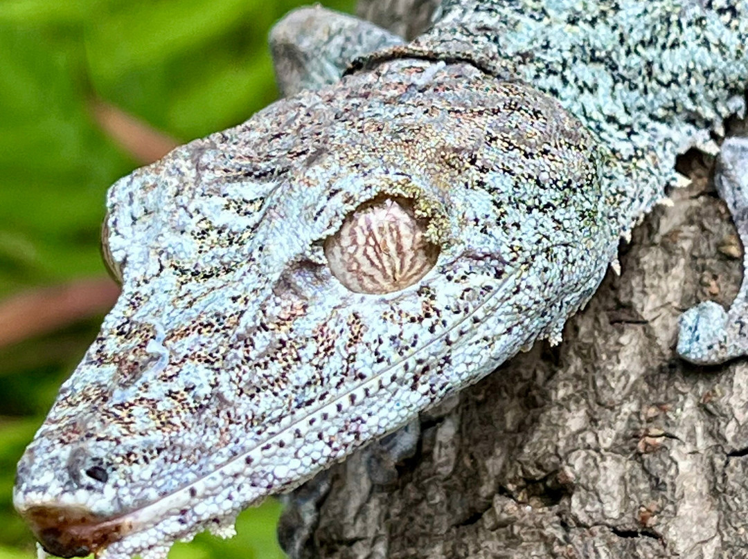 Jean Be Tours-安塔那那利佛必去景点